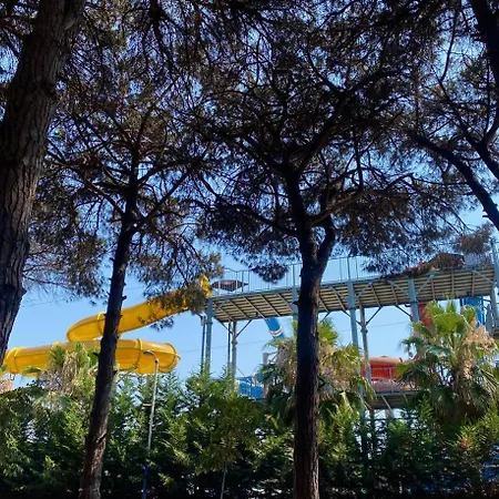 Gm 1 Golem (Tirana)